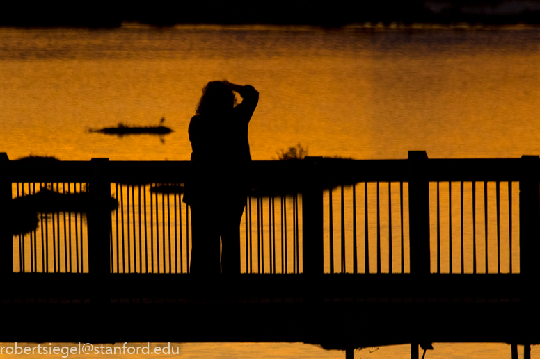 don edwards, alviso